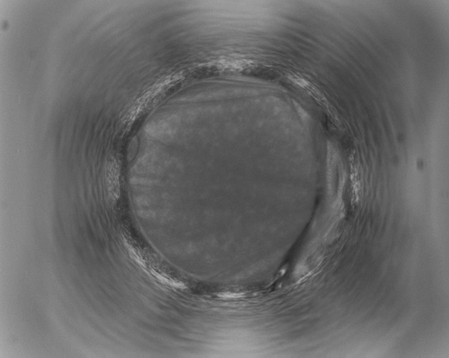 X0000053010496200507291711