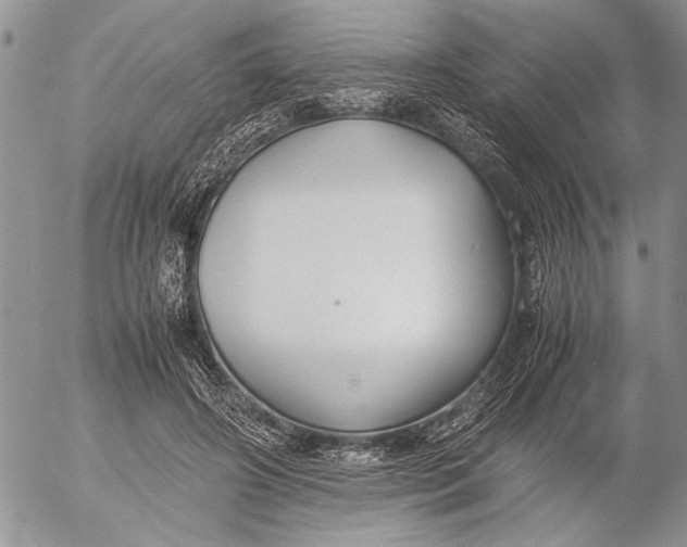 X0000053010498200507291711