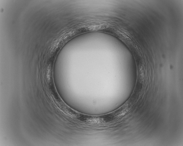 X0000053010499200507291711