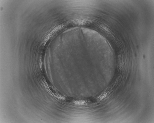 X0000053010500200507291711