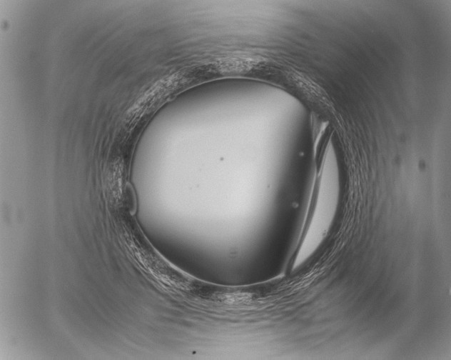 X0000053010501200507291711