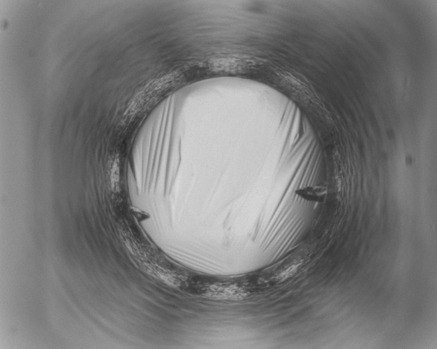 X0000053010502200507291711