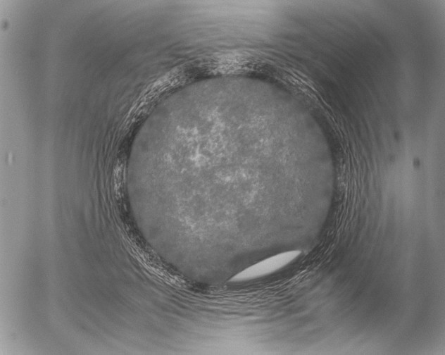 X0000053010503200507291711