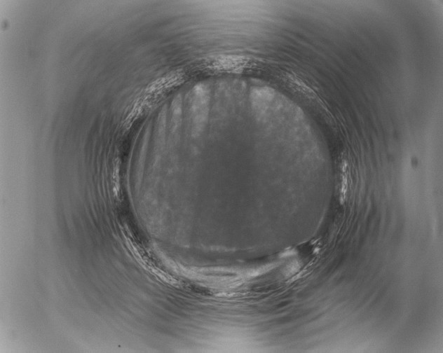 X0000053010504200507291711