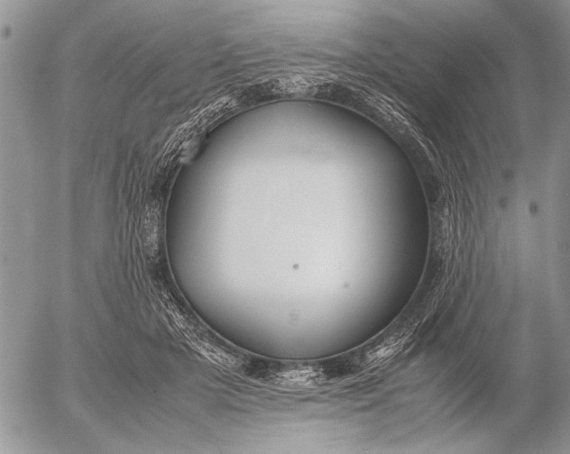 X0000053010505200507291711