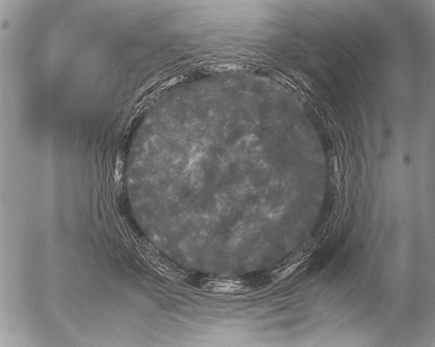 X0000053010507200507291711