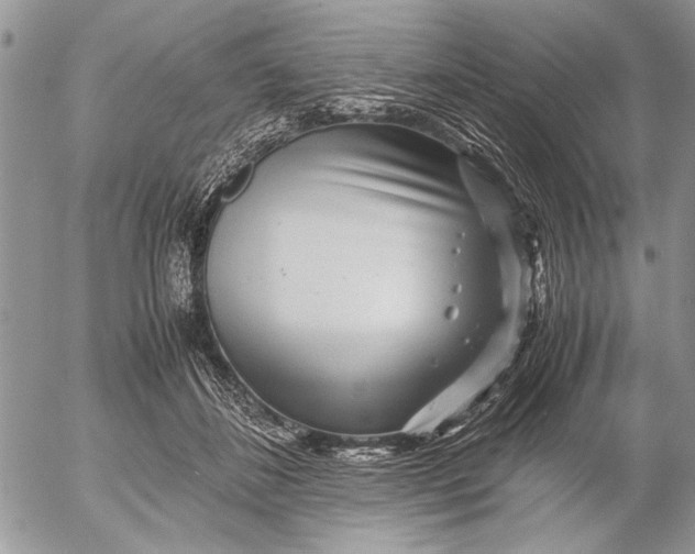 X0000053010508200507291711