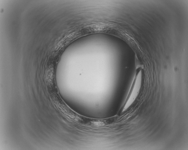 X0000053010509200507291711