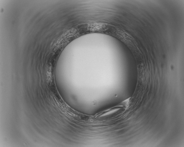 X0000053010510200507291711