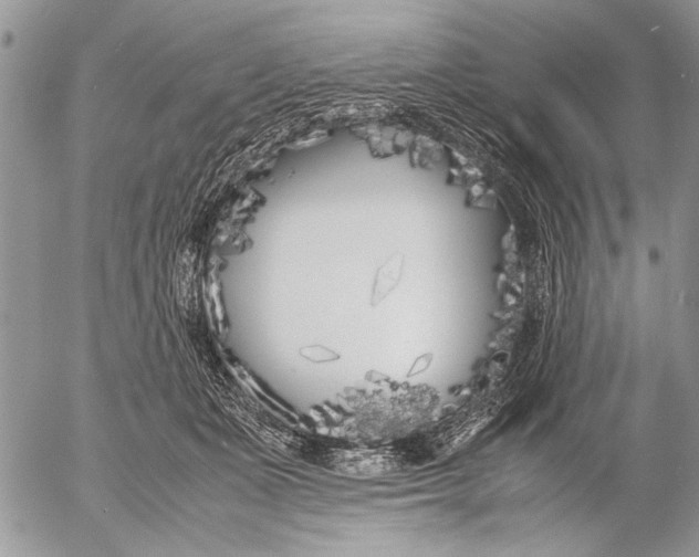 X0000053010511200507291711