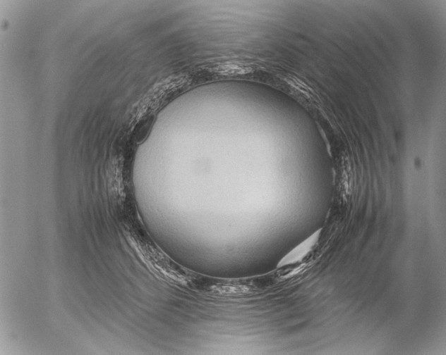 X0000053010512200507291711