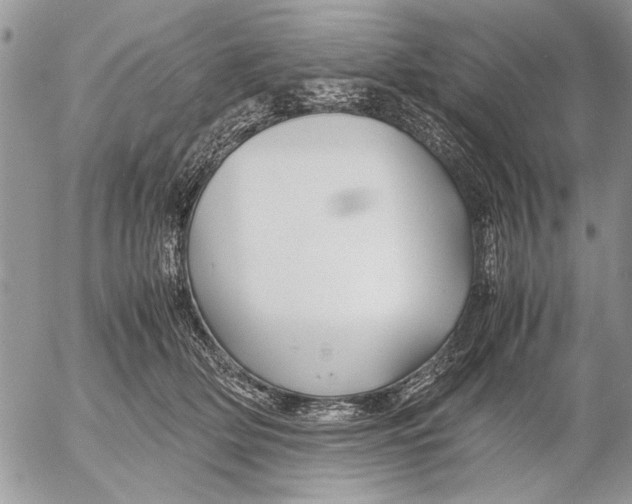 X0000053010514200507291711