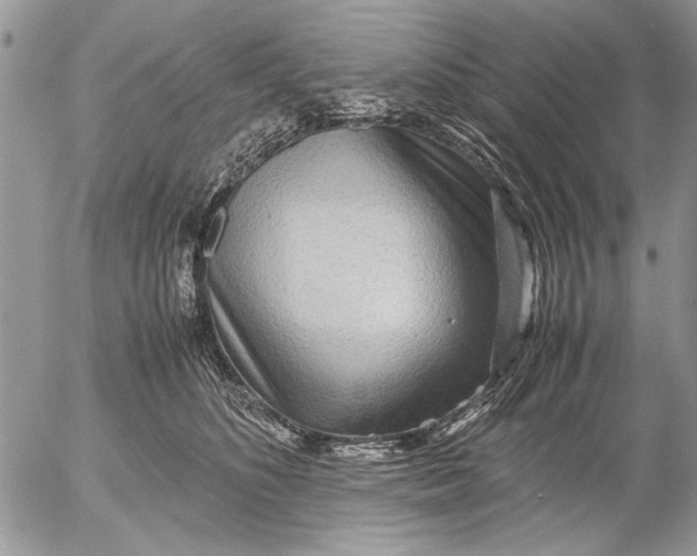 X0000053010516200507291711