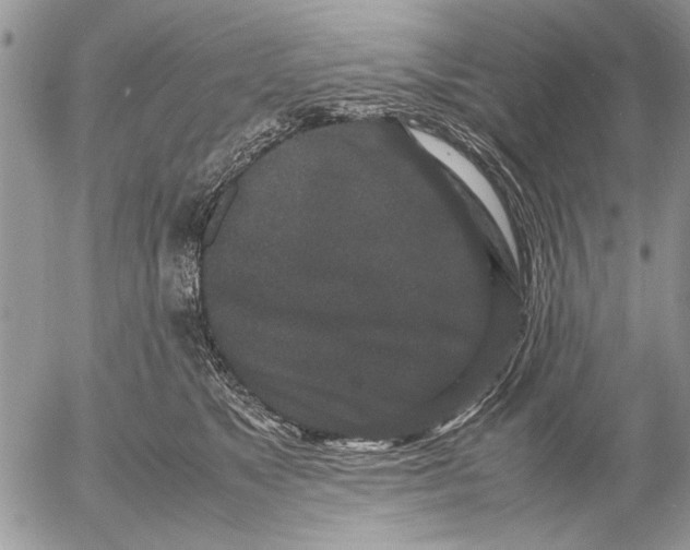 X0000053010517200507291711