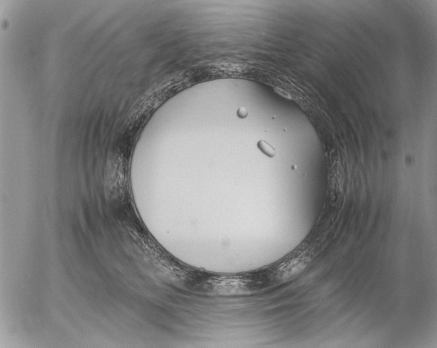 X0000053010518200507291711