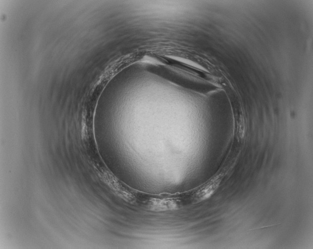 X0000053010520200507291711