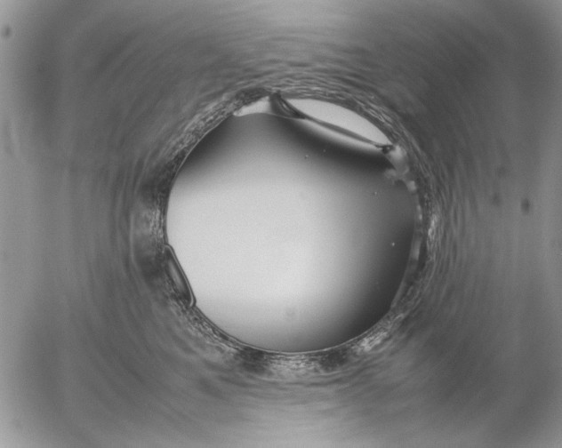 X0000053010521200507291711