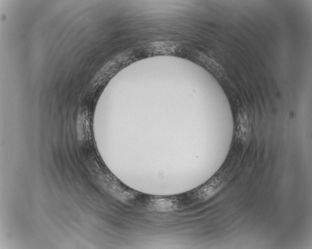 X0000053010522200507291711