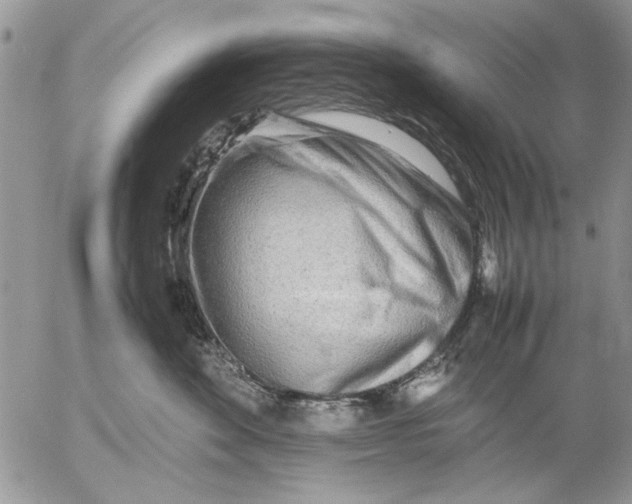 X0000053010524200507291711