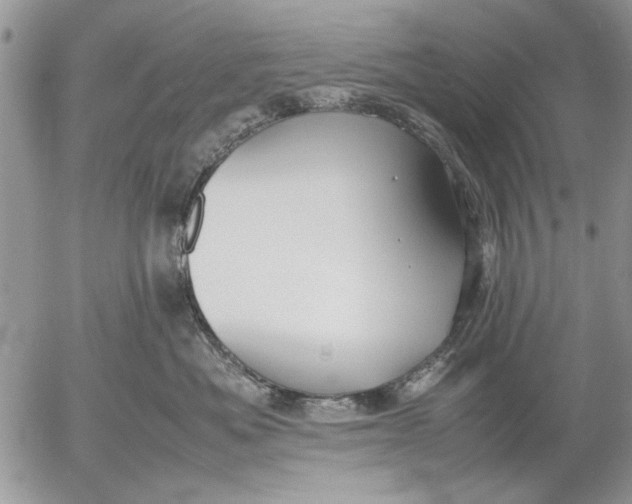 X0000053010525200507291711