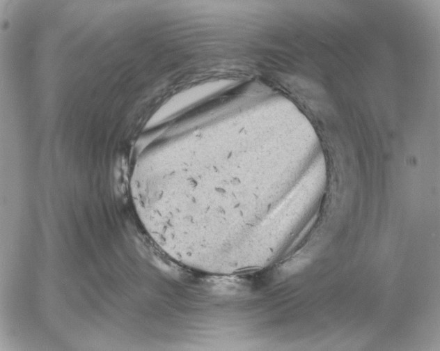 X0000053010528200507291711