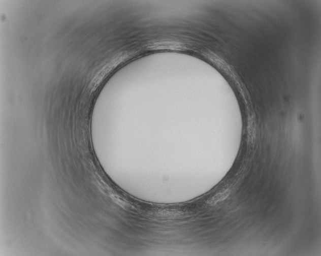 X0000053010529200507291710