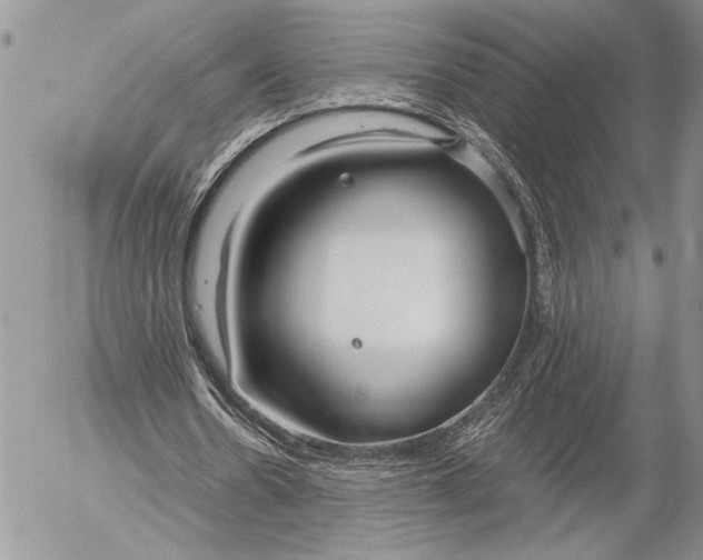 X0000053010530200507291710