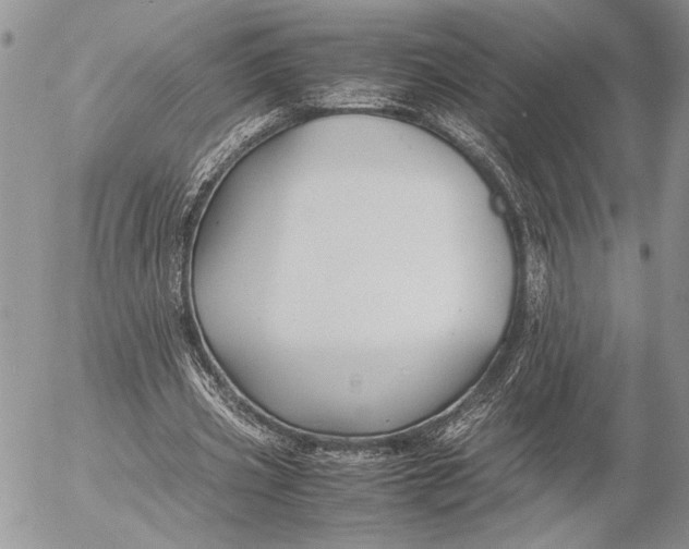 X0000053010533200507291710