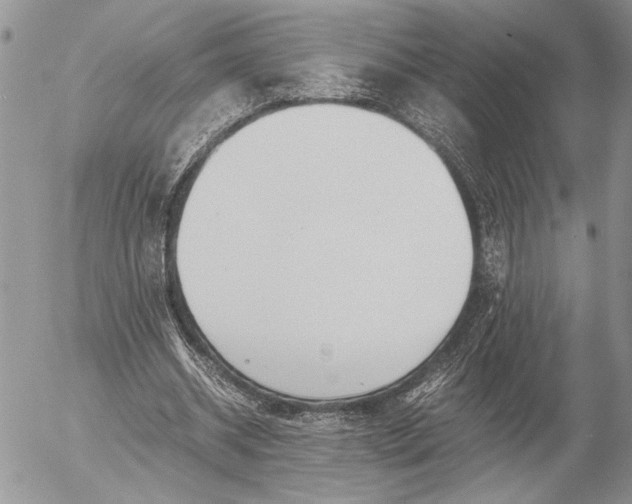 X0000053010534200507291710