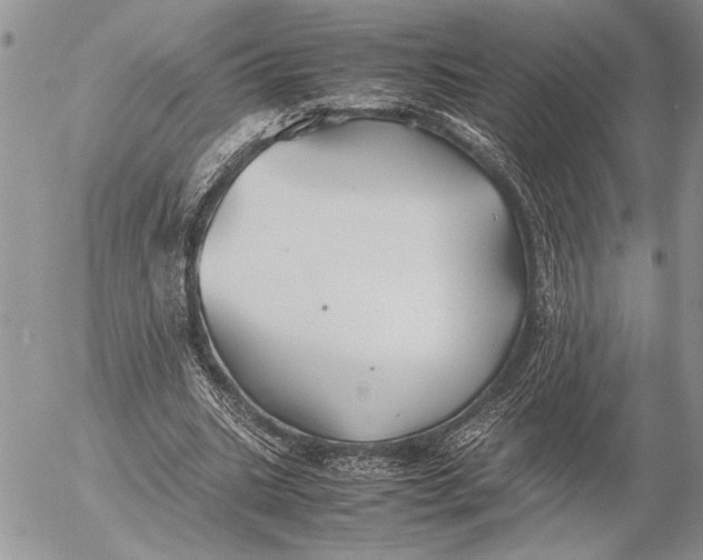 X0000053010535200507291710