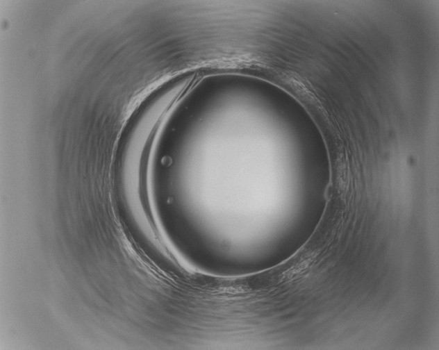 X0000053010536200507291710