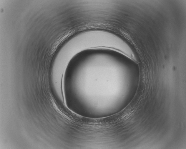 X0000053010538200507291710