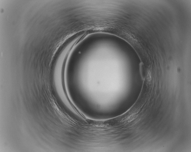 X0000053010540200507291710