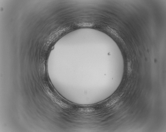 X0000053010541200507291710