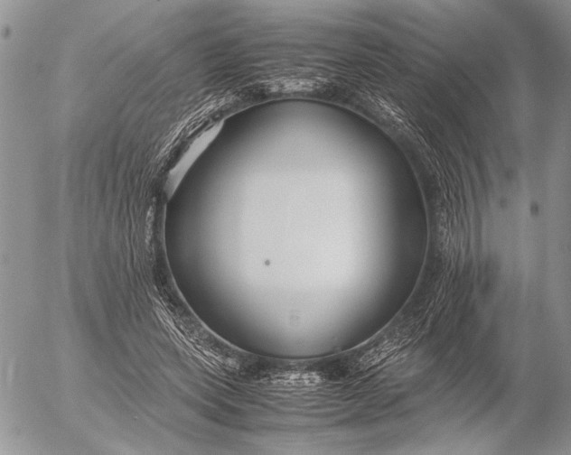 X0000053010543200507291710