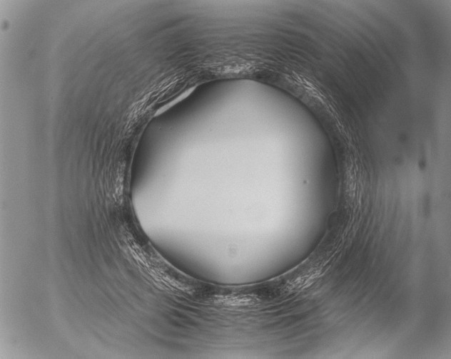 X0000053010545200507291710