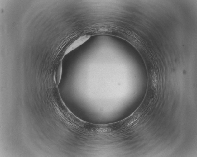 X0000053010546200507291710