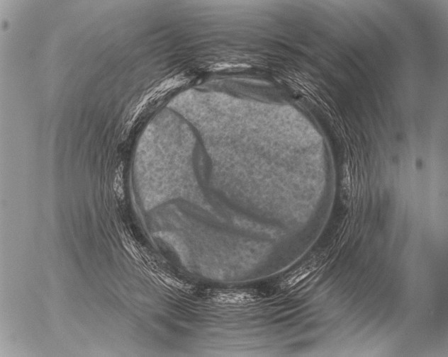 X0000053010547200507291710