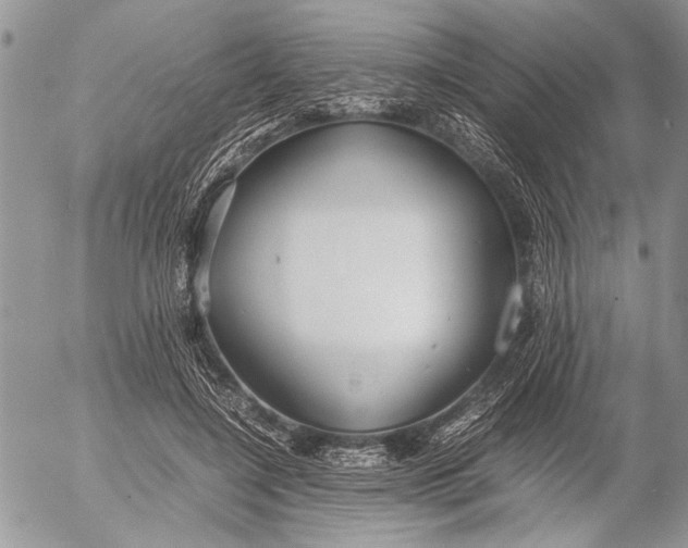 X0000053010548200507291710