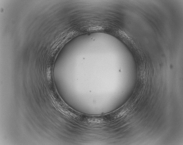 X0000053010549200507291710