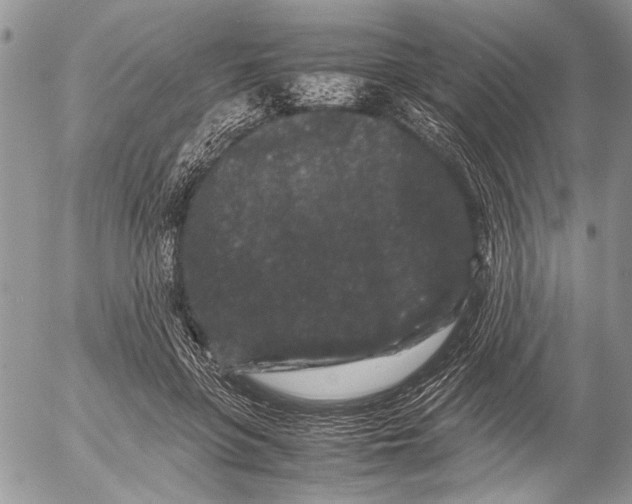 X0000053010551200507291710