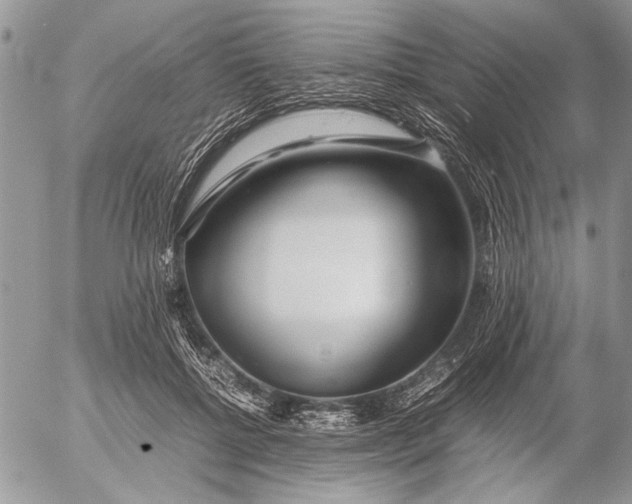 X0000053010552200507291710