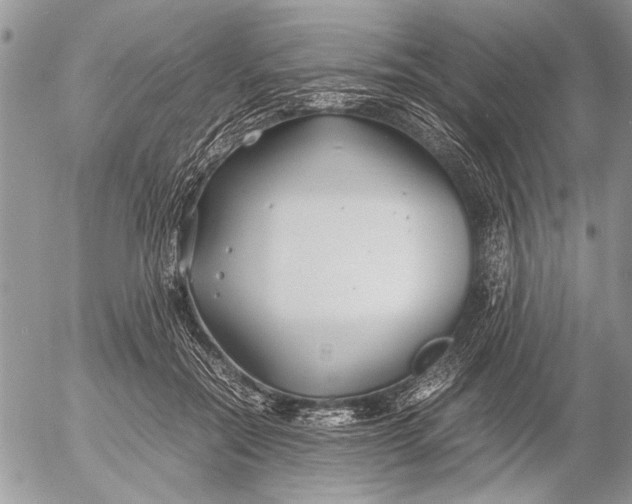 X0000053010554200507291710