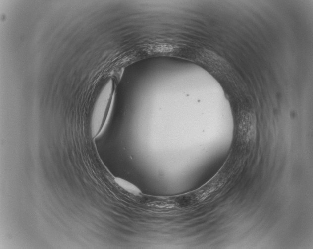 X0000053010555200507291710