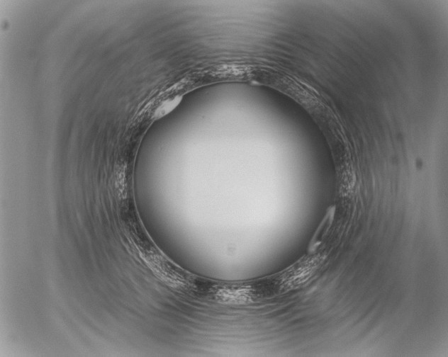 X0000053010560200507291710