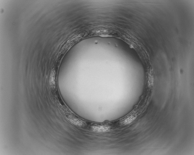 X0000053010561200507291710