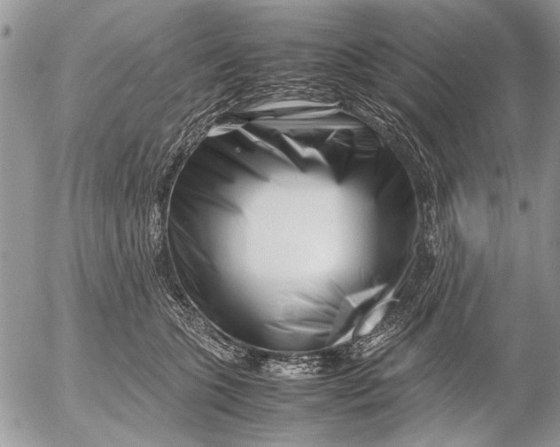 X0000053010563200507291711