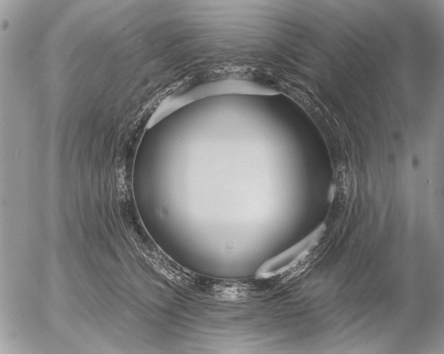 X0000053010564200507291711