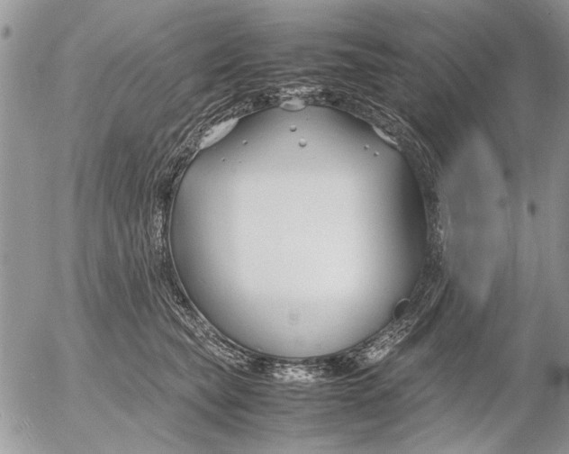 X0000053010565200507291711