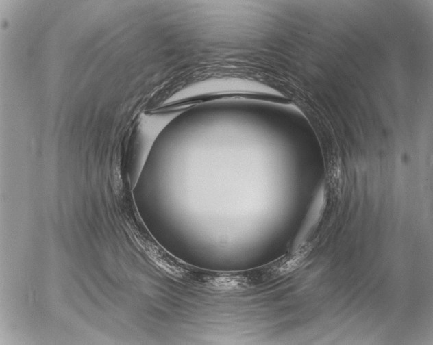 X0000053010566200507291711